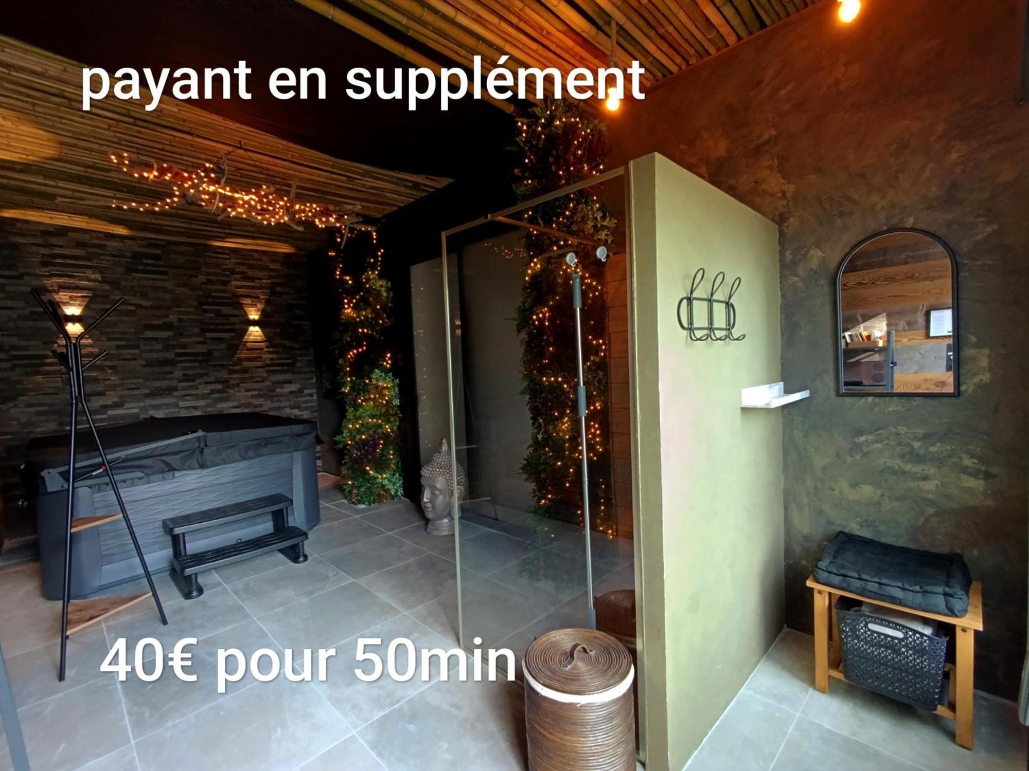 Villas-Du-Lac Appartements De Vacances Et Espace Spa Prive Clairvaux-les-Lacs Eksteriør billede
